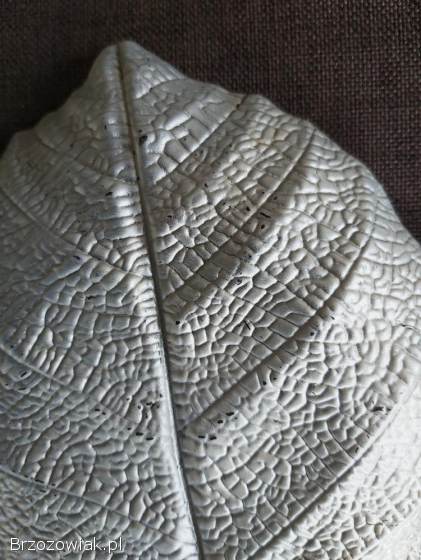 Talerze talerzyki dekoracyjne grube szklane w kształcie liścia 8 sztuk.