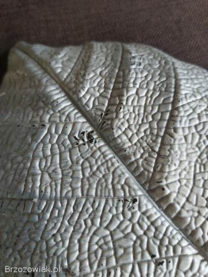 Talerze talerzyki dekoracyjne grube szklane w kształcie liścia 8 sztuk.