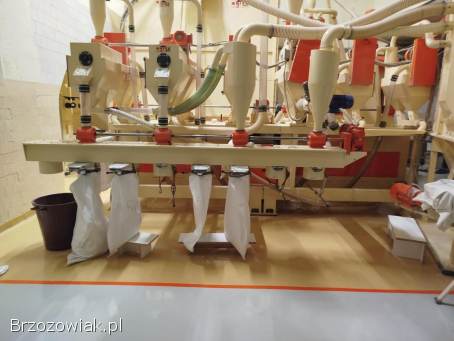 Mąka ekologiczna z pszenicy płaskurki