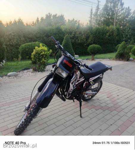 Yamaha DT 2005