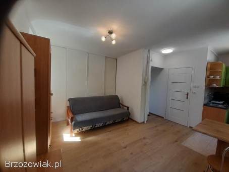 Do wynajęcia mieszkanie przy ul.  prof.  Ludwika Chmaja,  osiedle Śródmieście w Rze