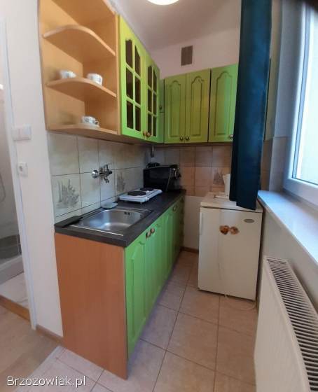 Do wynajęcia mieszkanie przy ul.  prof.  Ludwika Chmaja,  osiedle Śródmieście w Rze