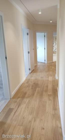 Cyklinowanie bezpyłowe,  parkieciarstwo,  schody