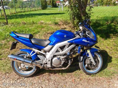 Suzuki SV 650S 2004