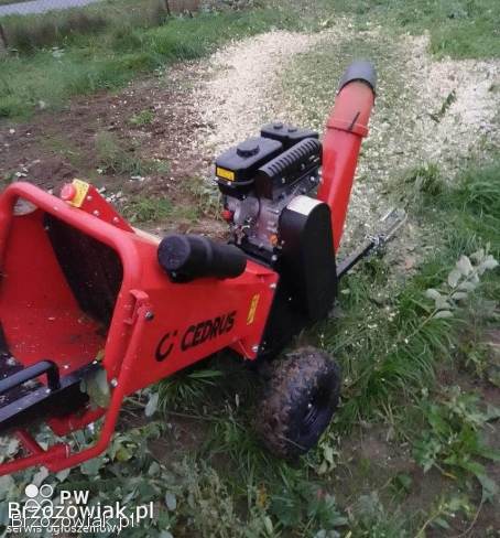 WYCINKA DRZEW,  PRACE OGRODOWE,  KOSZENIE TRAWY,  CIĘCIE ŻYWOPŁOTÓW