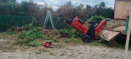 WYCINKA DRZEW,  PRACE OGRODOWE,  KOSZENIE TRAWY,  CIĘCIE ŻYWOPŁOTÓW