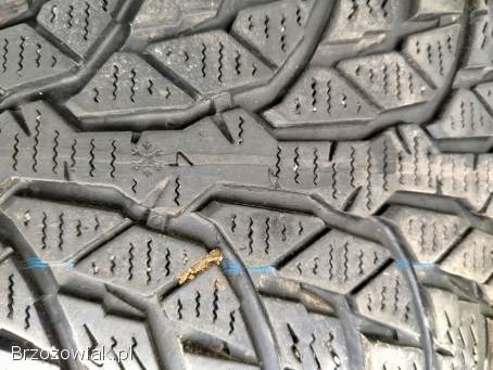 Opony zimowe 4x Nokian WR D4 205/55/R16