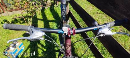 Rower Raleigh 28” rama L – projekt do dokończenia