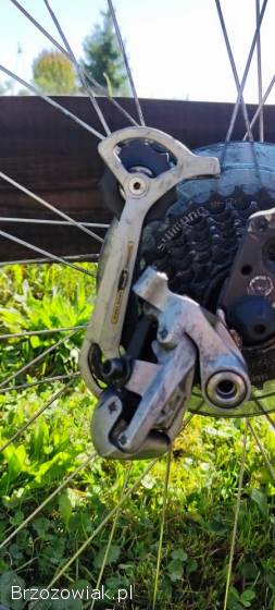 Rower Raleigh 28” rama L – projekt do dokończenia