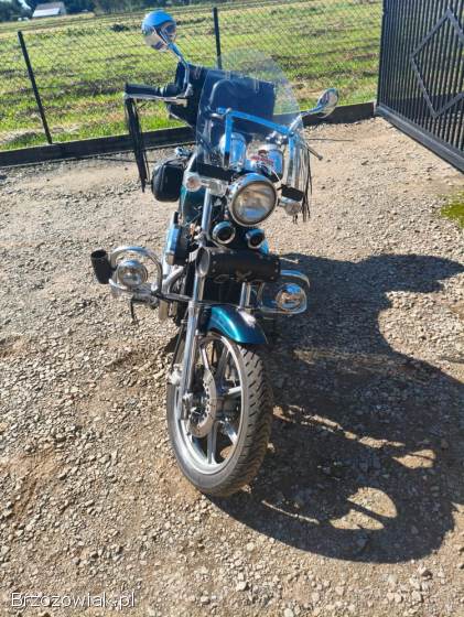 Kawasaki VN 750 1993