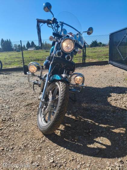 Kawasaki VN 750 1993