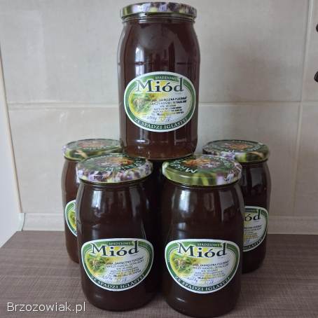 Miód spadziowy iglasty