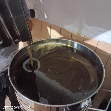 Miód spadziowy iglasty