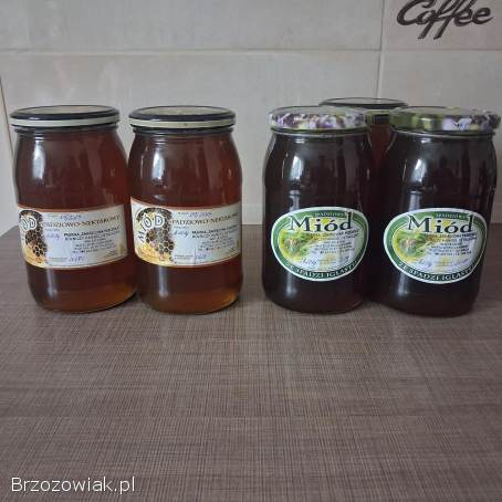 Miód spadziowy iglasty