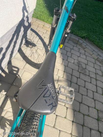 Rower kellys whip 10