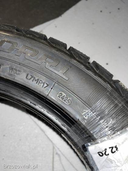 215 55 17 zimowe