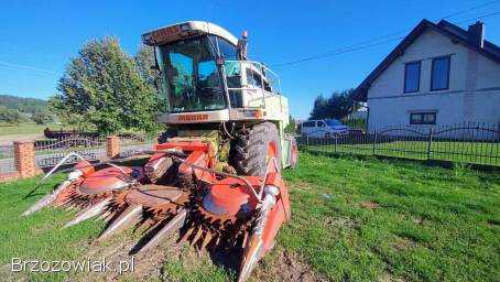 Koszenie kukurydzy sieczkarnia