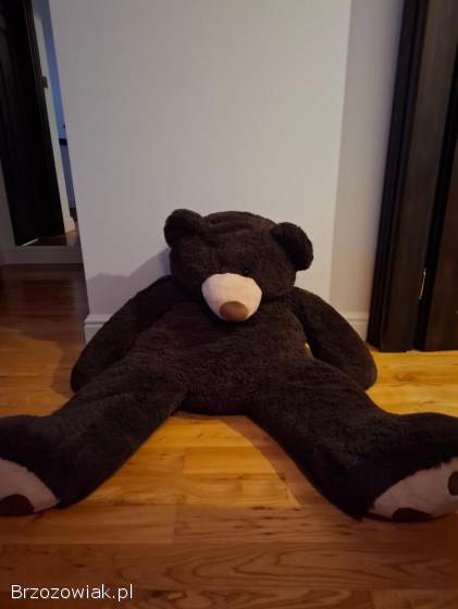 Sprzedam dużego miśka