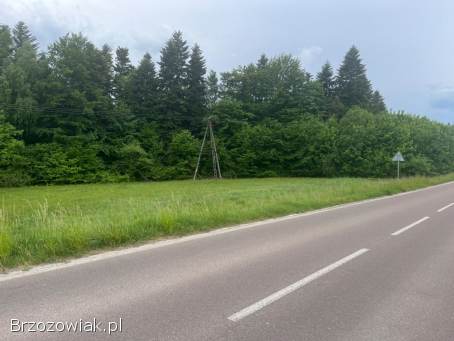 Działka Wyręby k.  Dynowa