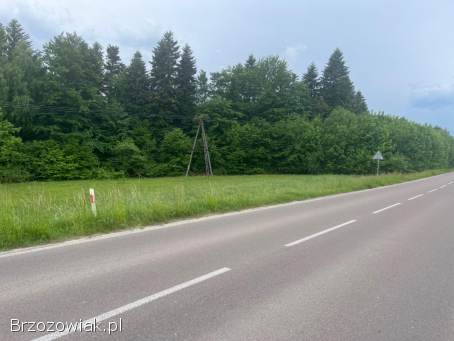 Działka Wyręby k.  Dynowa