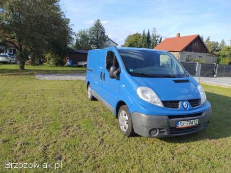 Renault Trafic Renault Trafic 2.  0 DCi stan bardzo dobry,  niski przebieg