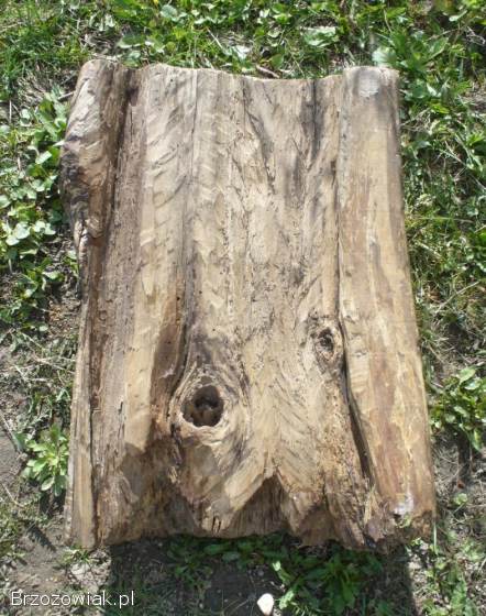 Duża płaskorzeźba GÓRAL Z FAJKĄ,  rzeźba -  Besko