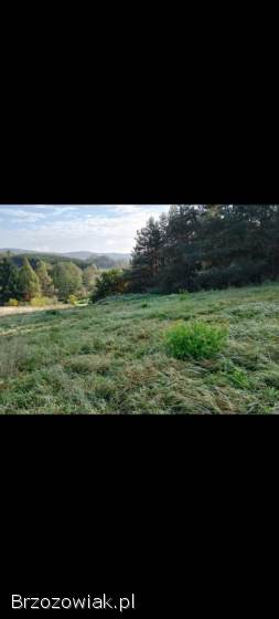 Działka na sprzedarz
