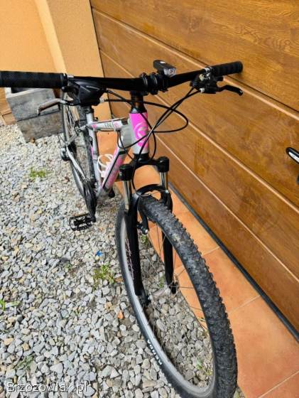 Rower Kellys 29 TNT 10 Rama S