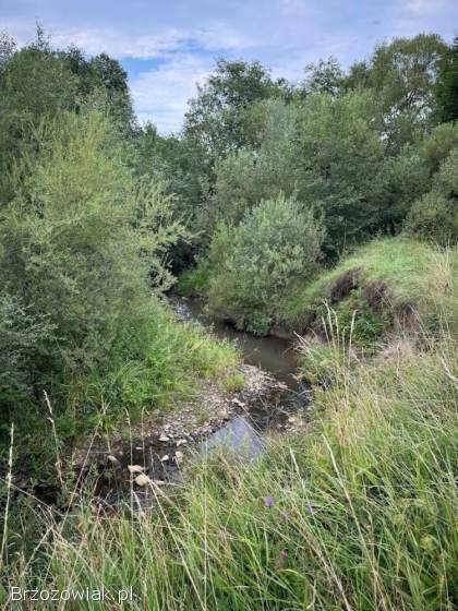 Bieszczady -  57arów budowlanej