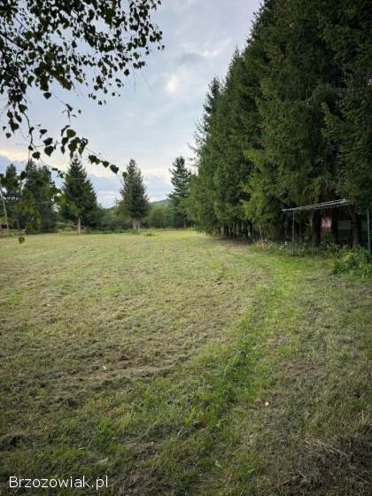 Bieszczady -  57arów budowlanej