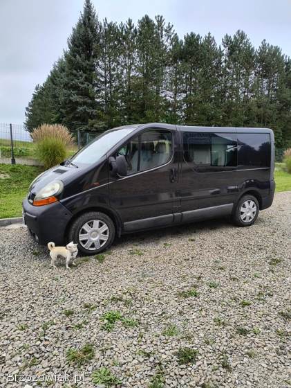 RENAULT TRAFIC nie Movano Primastar bus t 4 t 5 ty vw