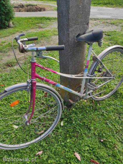 Sprzedam Rowery Damka