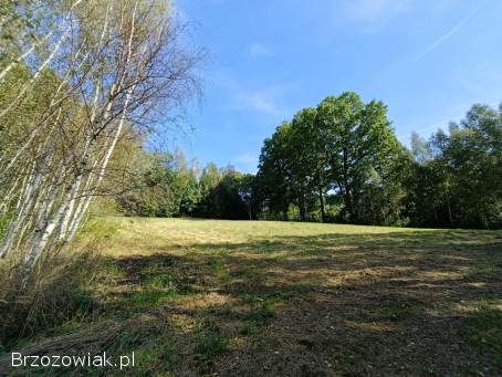 Piękna duża działka pod Twód dom w centrum Lutczy