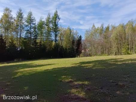 Piękna duża działka pod Twód dom w centrum Lutczy