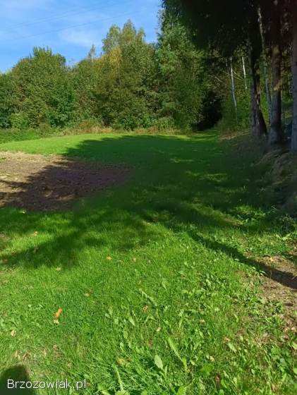 Piękna duża działka pod Twód dom w centrum Lutczy