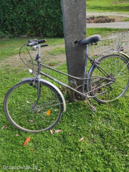 Rower miejski– klasyczny i wygodny