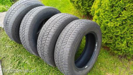 Opony zimowe Dębica R15