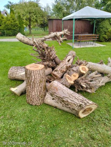 Sprzedam drewno orzecha.