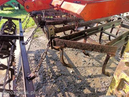 Brona ciężka na gęsiej łapie