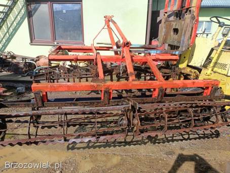 Brona ciężka na gęsiej łapie