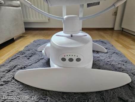 Sprzedam bujaczek Lionelo Iris