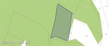 Sprzedam dzialkę leśną