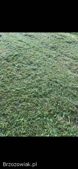 Mulczer kosiarka sadownicza