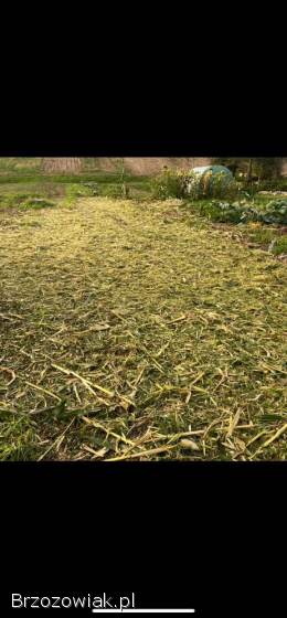 Mulczer kosiarka sadownicza