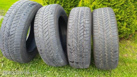 Opony zimowe Dębica R15