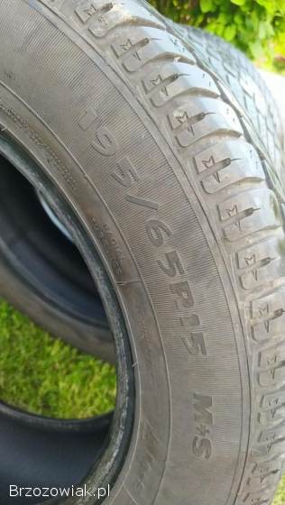 Opony zimowe Dębica R15