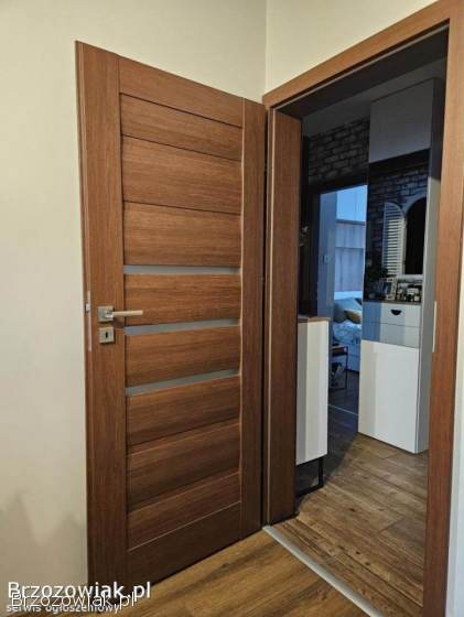 4x Drzwi Intenso model Belize Orzech z ościeżnicami -  4 sztuki