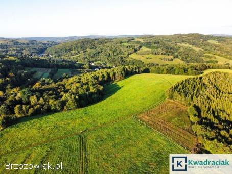 Działka w Lutczy idealna pod Inwestycję – 4,  48 ha z Warunkami Zabudowy