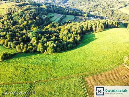 Działka w Lutczy idealna pod Inwestycję – 4,  48 ha z Warunkami Zabudowy