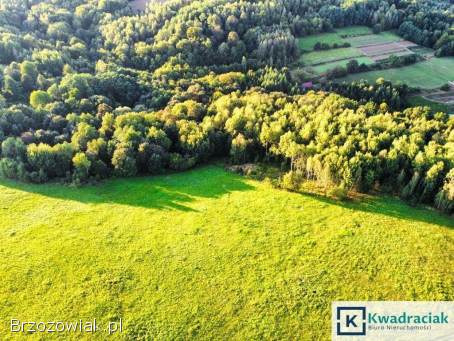 Działka w Lutczy idealna pod Inwestycję – 4,  48 ha z Warunkami Zabudowy